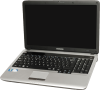 Samsung RV Series