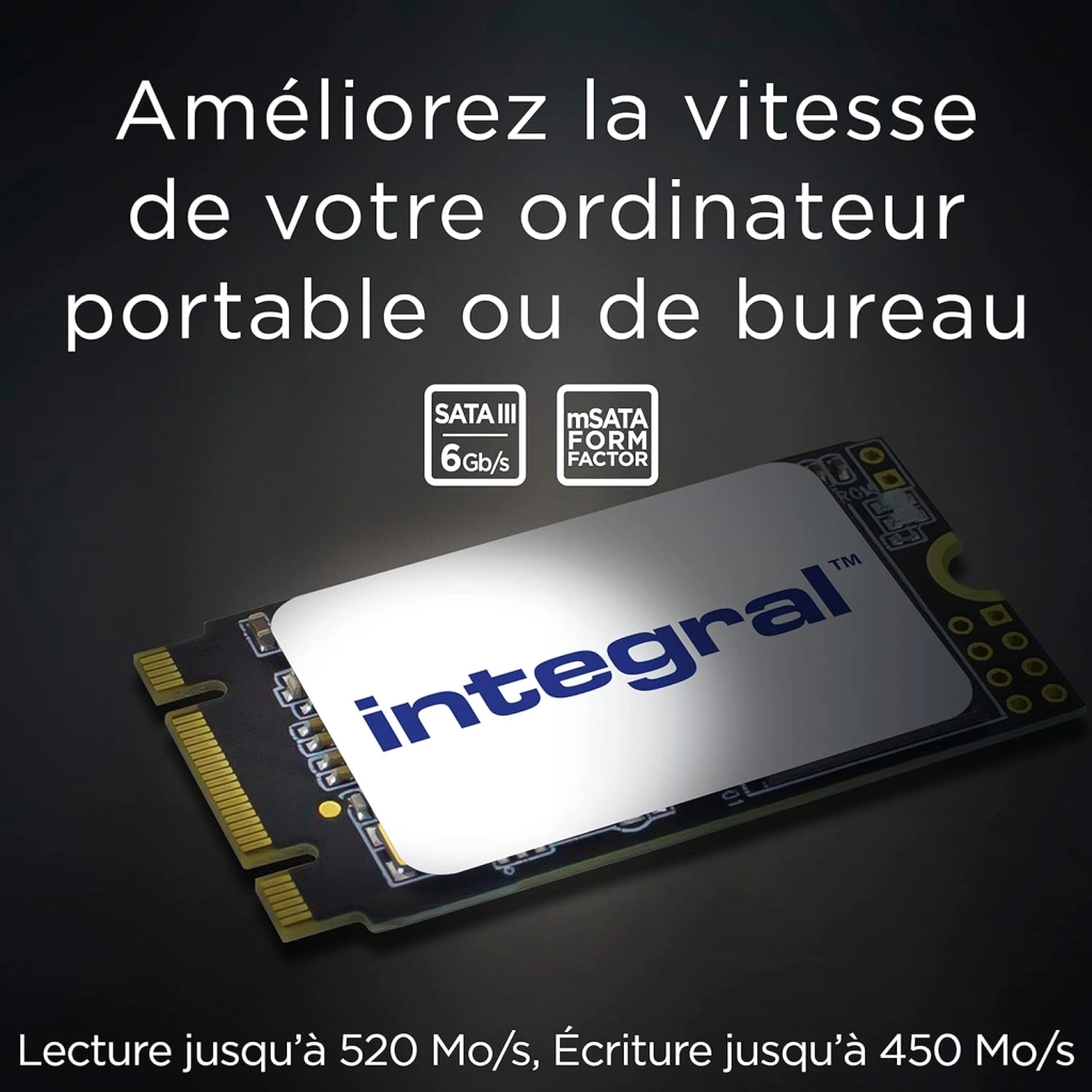 Integral M.2 2242 SATA Internal SSD