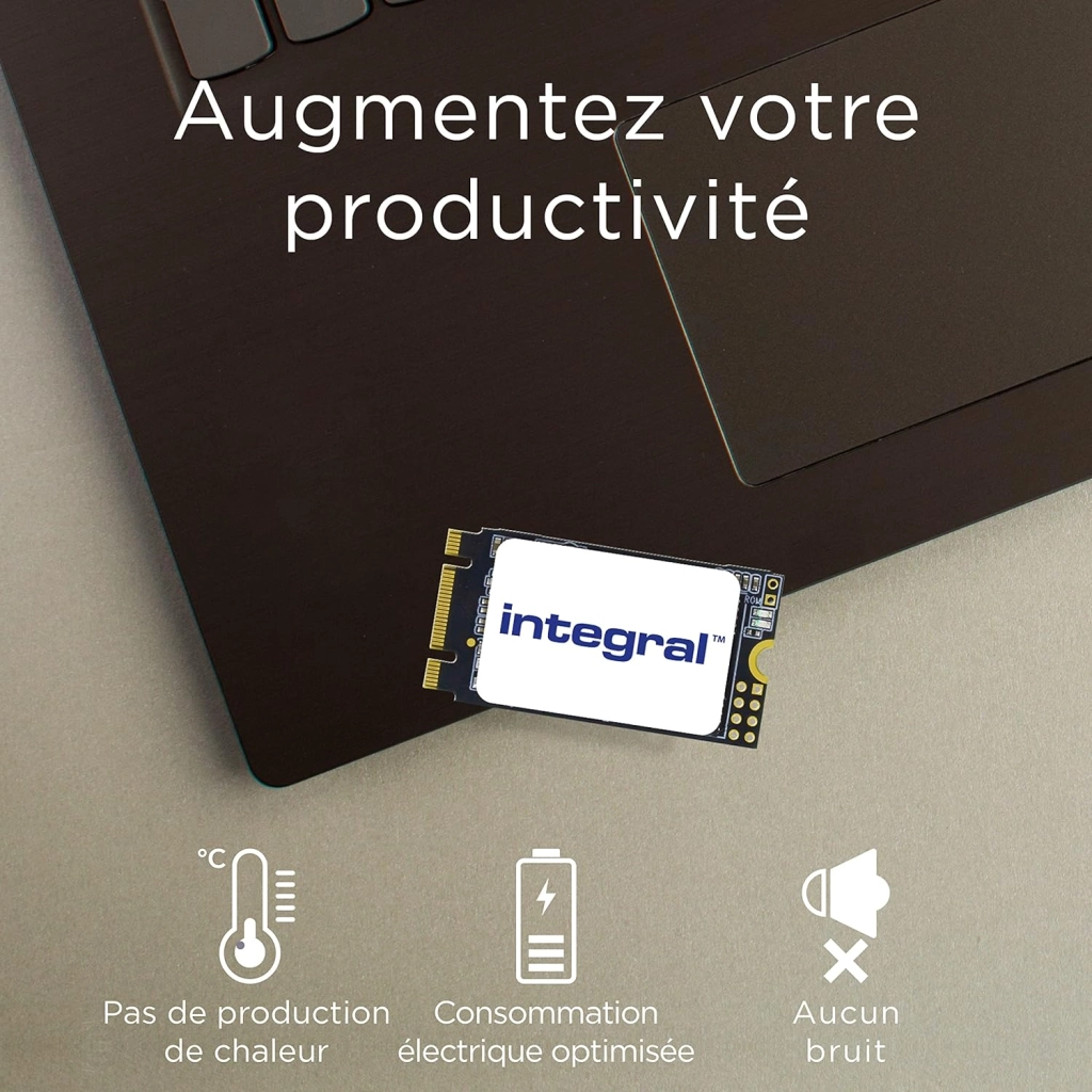 Integral M.2 2242 SATA Internal SSD