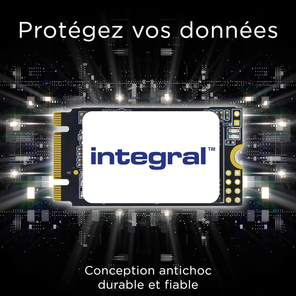 Integral M.2 2242 SATA Internal SSD