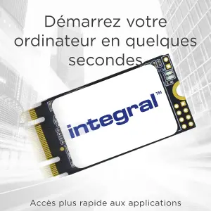 Integral M.2 2242 SATA Internal SSD