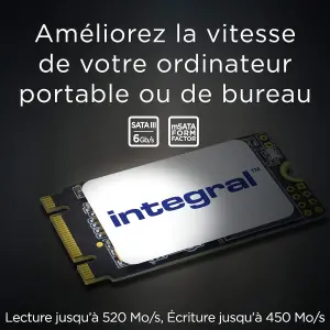 Integral M.2 2242 SATA Internal SSD