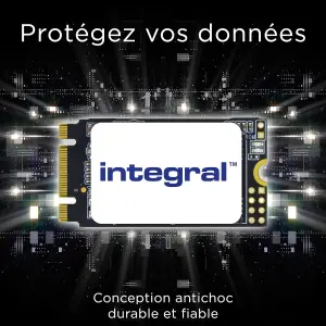 Integral M.2 2242 SATA Internal SSD